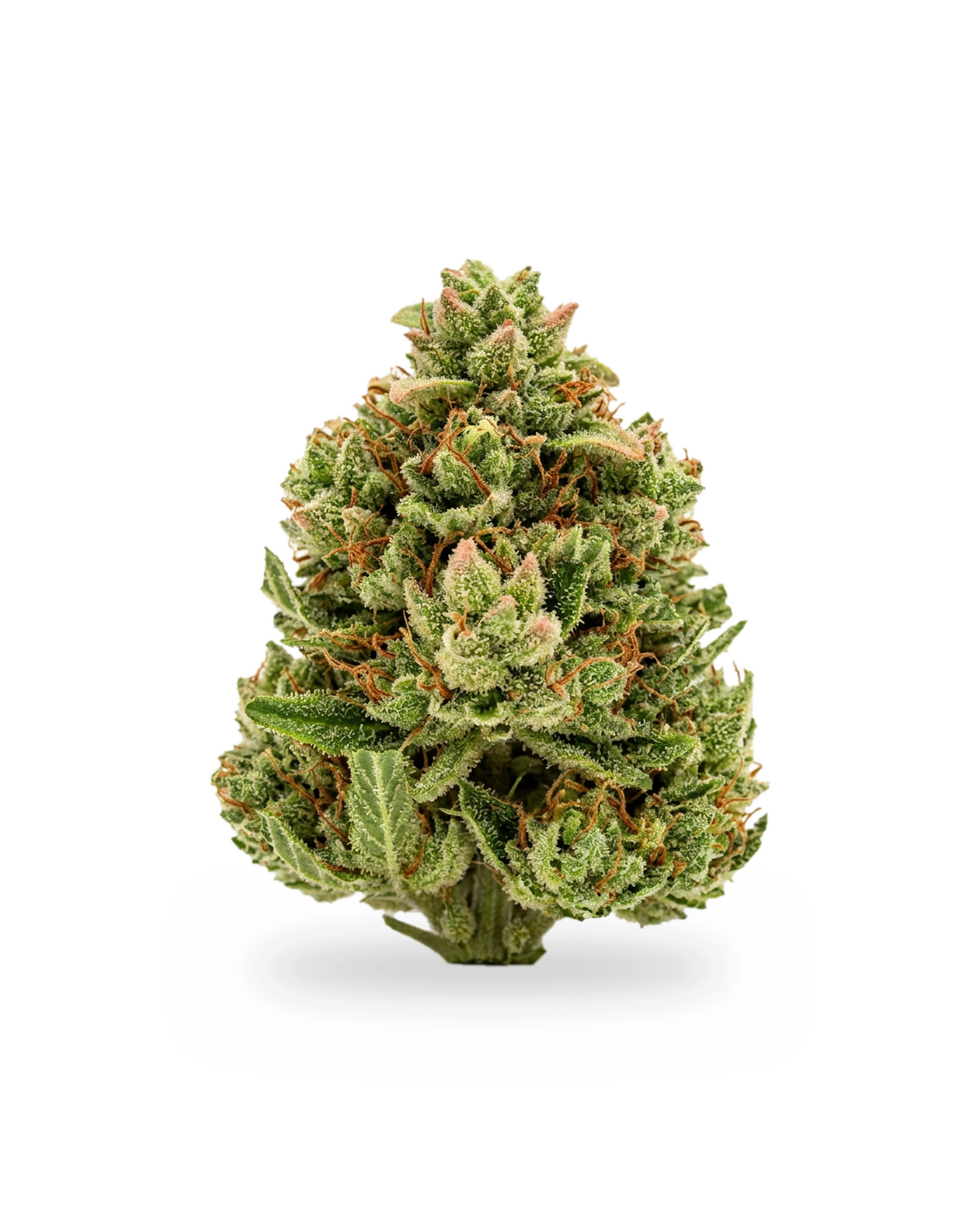 Brownrock Strawberry — greenhouse CBD hemp flower