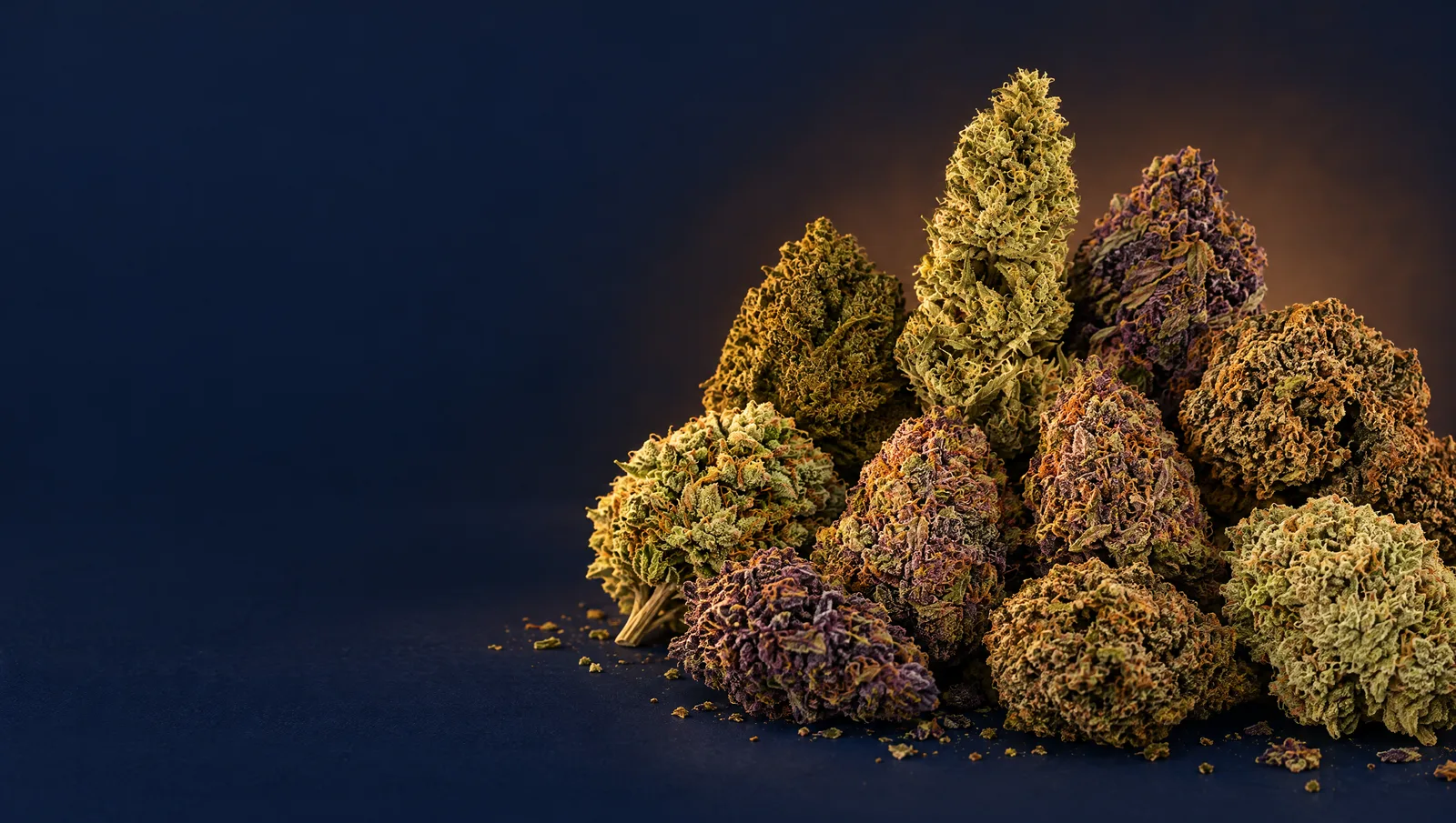 The nine Brownrock hemp flowers together on a dark navy surface