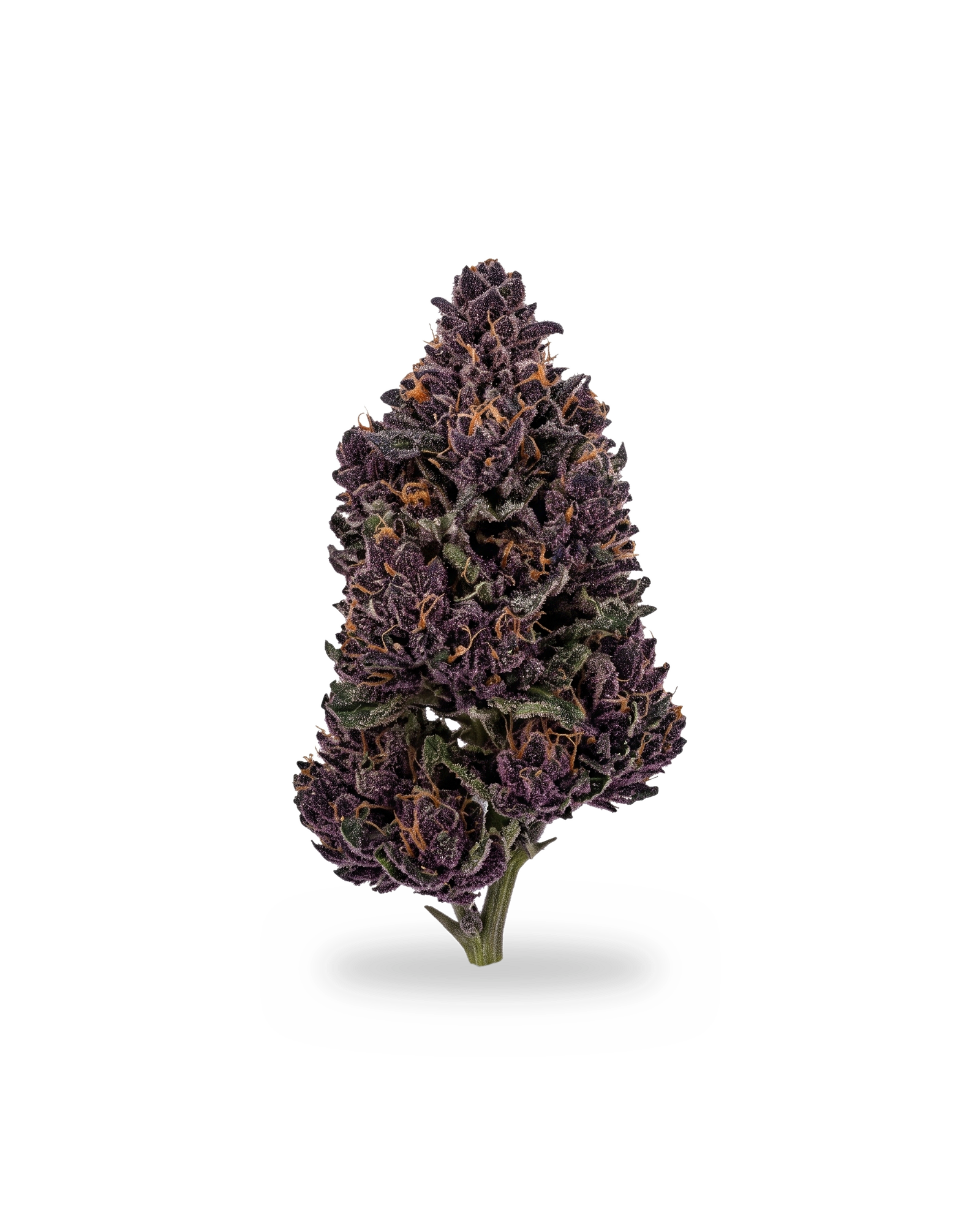 Brownrock Skywalker OG — indoor CBD hemp flower