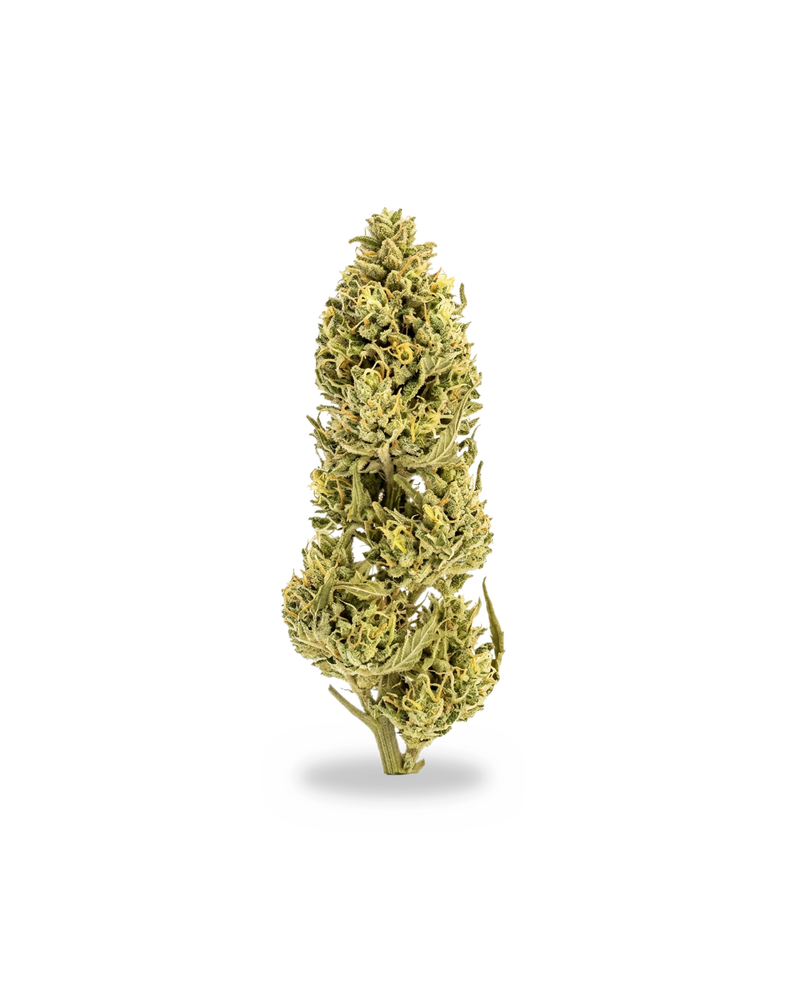 Brownrock Lemon Haze — outdoor CBD hemp flower