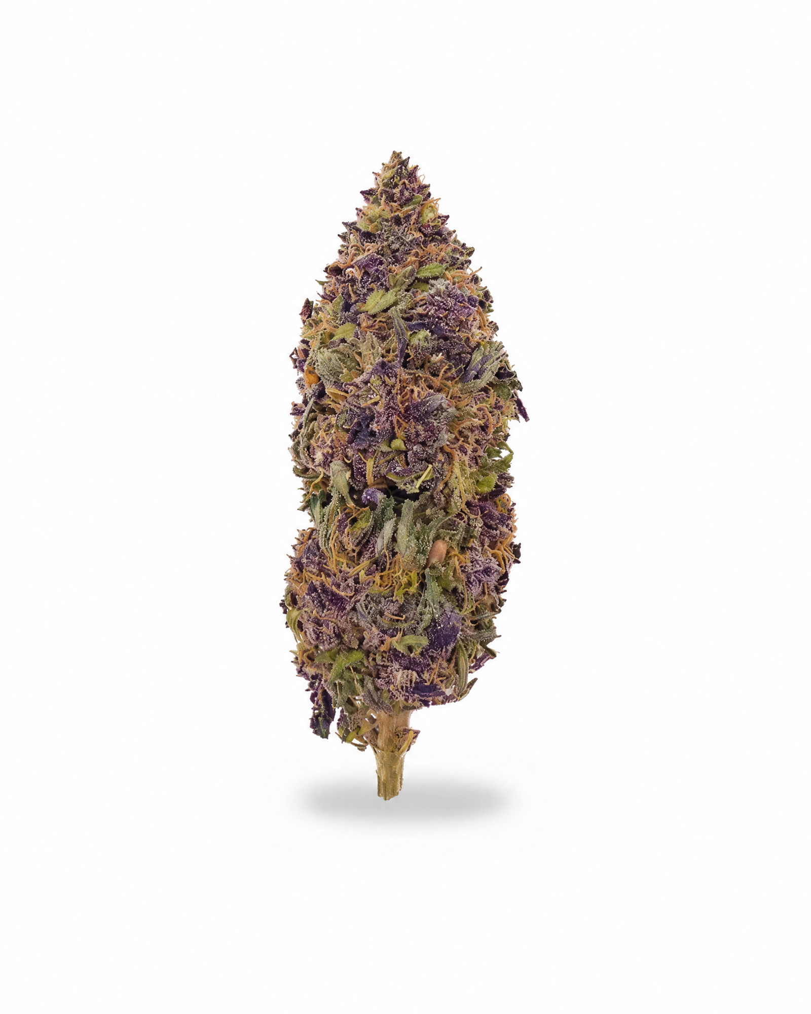 Brownrock Purple Haze — outdoor CBD hemp flower