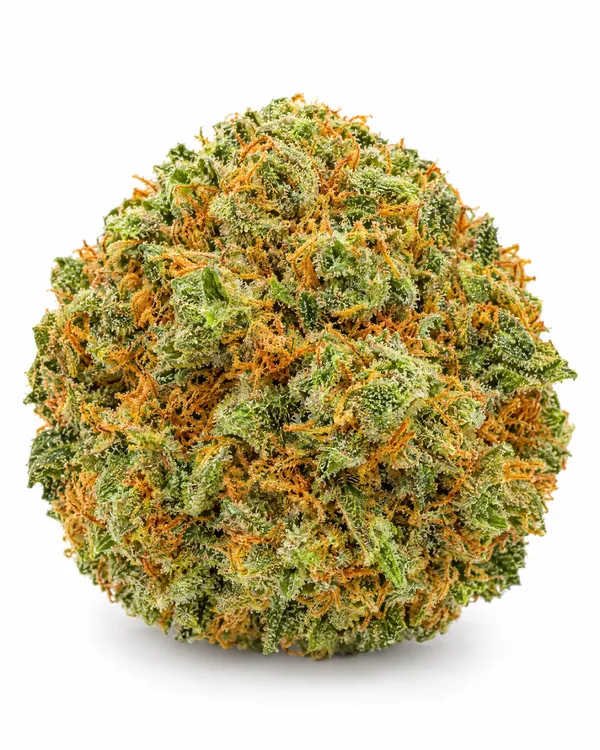 Illustrative greenhouse-grown hemp flower, reference 1 (not a Brownrock product)
