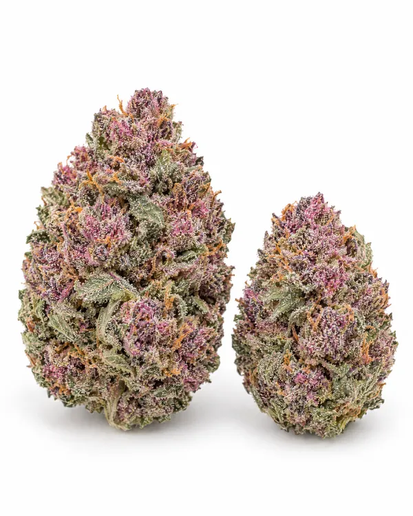 Illustrative greenhouse-grown hemp flower, reference 3 (not a Brownrock product)