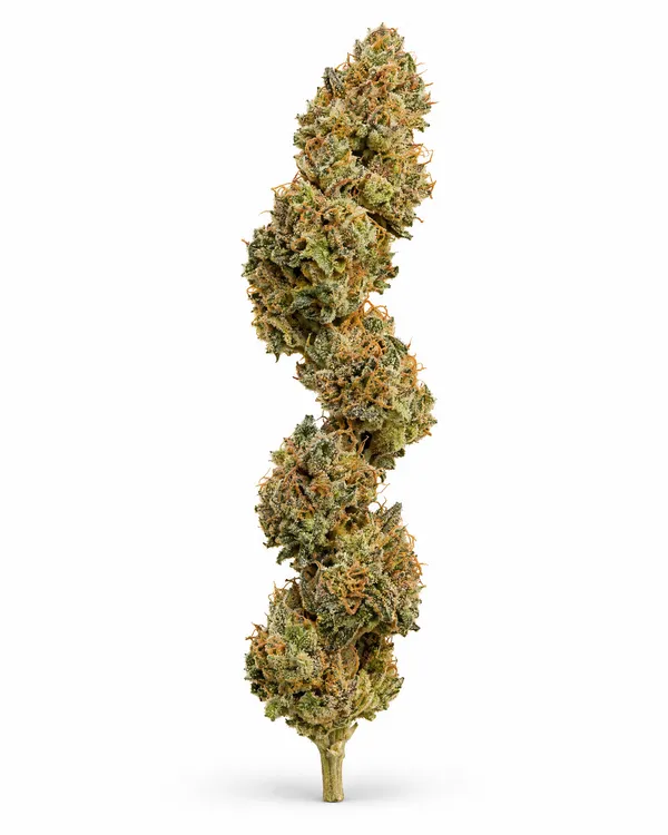 Illustrative indoor-grown hemp flower, reference 1 (not a Brownrock product)