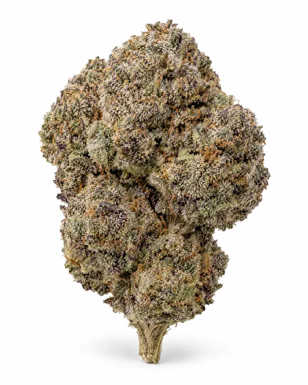 Illustrative indoor-grown hemp flower, reference 2 (not a Brownrock product)