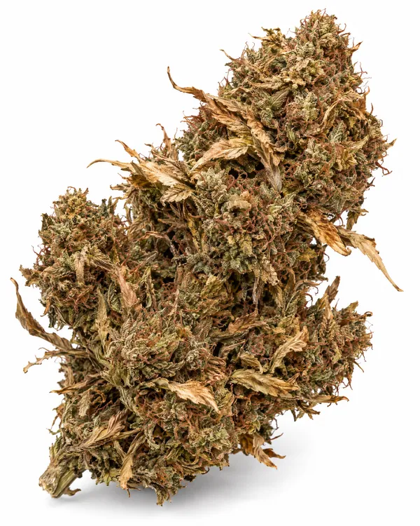 Illustrative outdoor-grown hemp flower, reference 1 (not a Brownrock product)