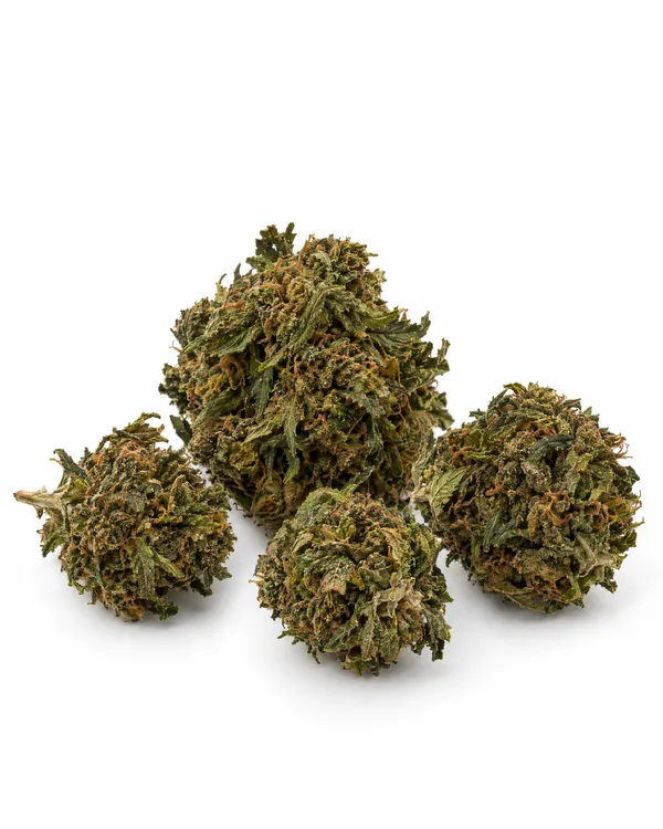 Illustrative outdoor-grown hemp flower, reference 2 (not a Brownrock product)